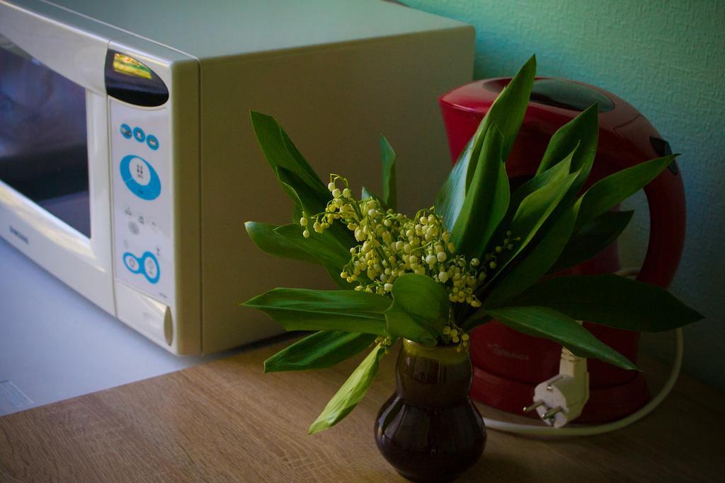 Huoneisto Emmas Apartamenti Riika
